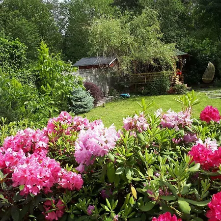 Villa-seerose Guest house Cologne